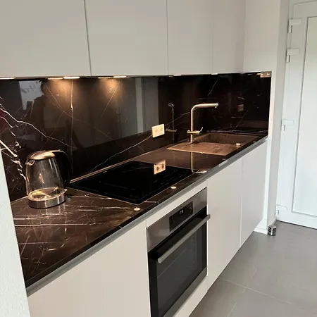 Luxuswohnung In Stadtzentrum Apartmán Koblenc