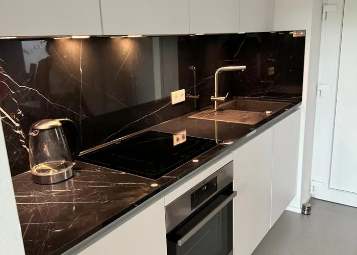 Luxuswohnung Im Stadtzentrum Appartement Coblence